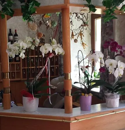 Hotel Fasching Hotel Sankt Georgen am Langsee