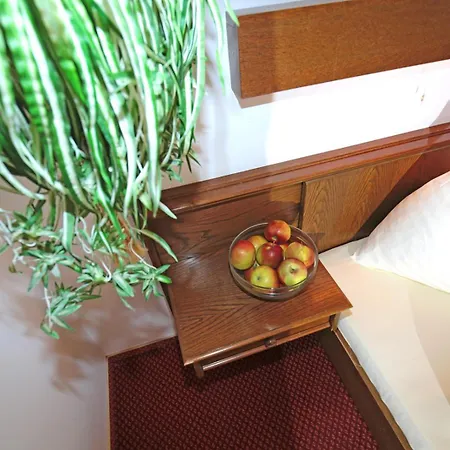 Hotel Fasching Hotel 3*