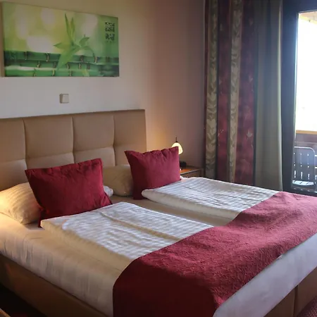 Hotel Hotel Fasching 3*