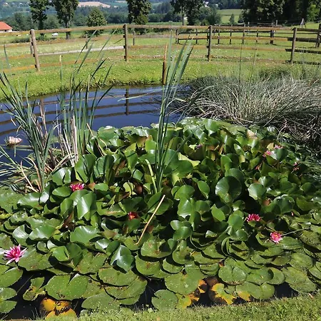 Hotel Fasching Hotel