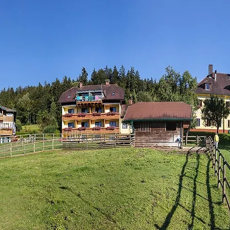Hotel Fasching 3* Sankt Georgen am Langsee