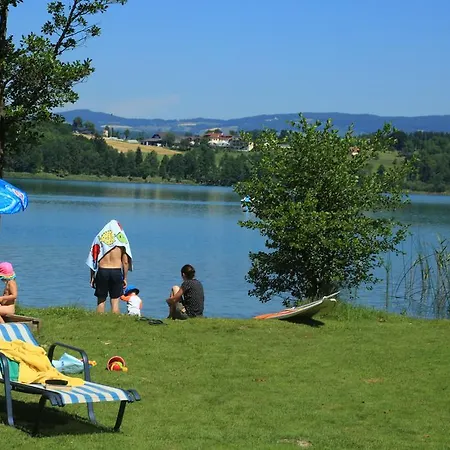 Hotel Fasching 3*