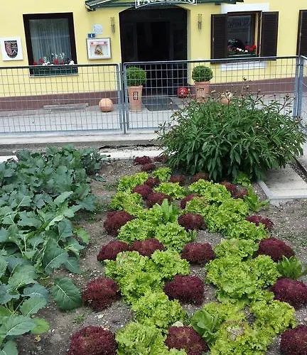 Fasching מלון 3*