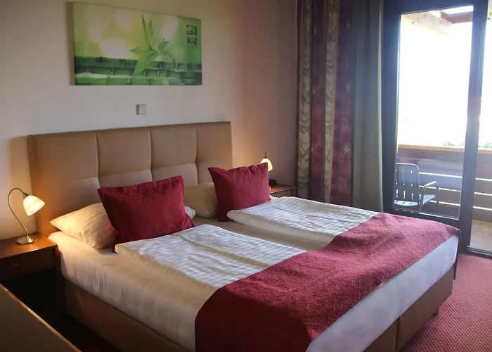 Hotel Hotel Fasching 3*