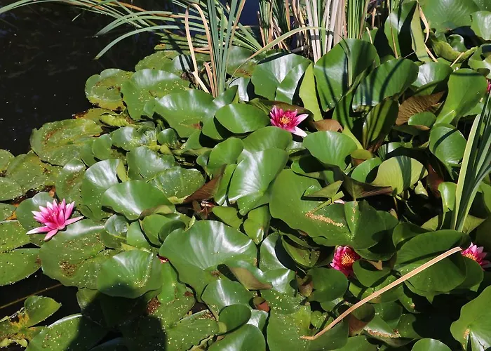 Hotel Hotel Fasching Sankt Georgen am Langsee