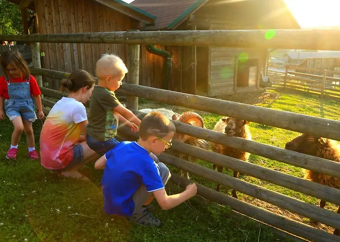 Hotel Fasching Hotel