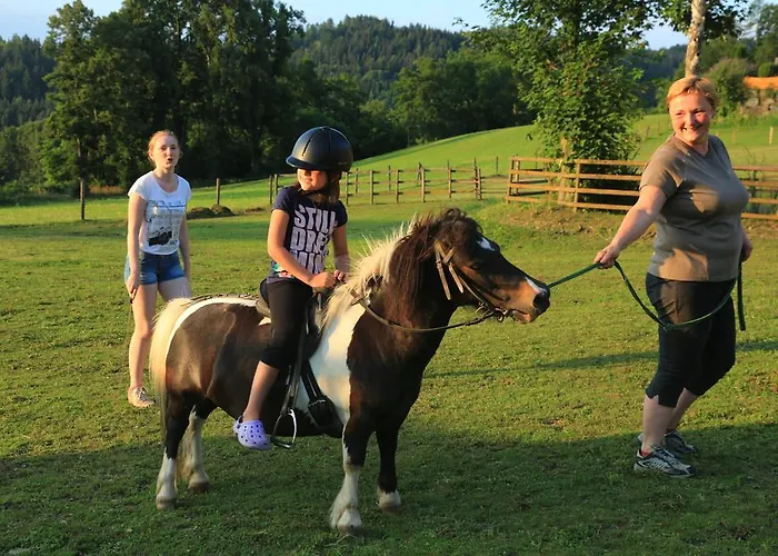 Hotel Fasching Hotel