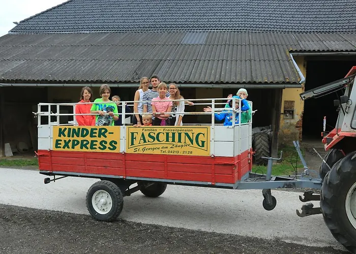 Hotel Hotel Fasching 3*