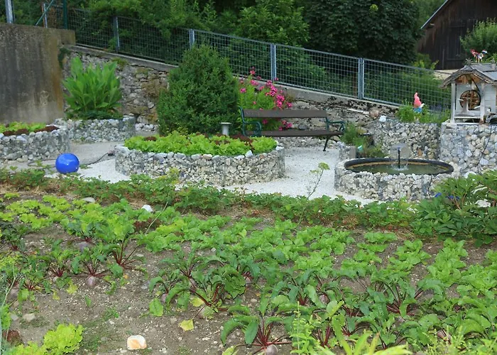 Hotel Fasching Hotel 3*