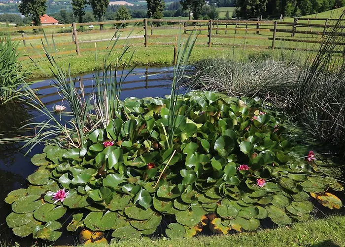 Hotel Fasching Hotel