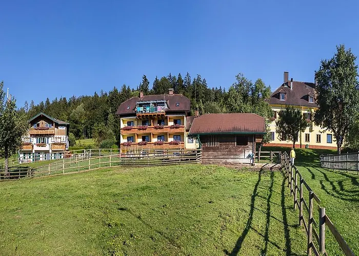 Hotel Fasching 3* Sankt Georgen am Langsee
