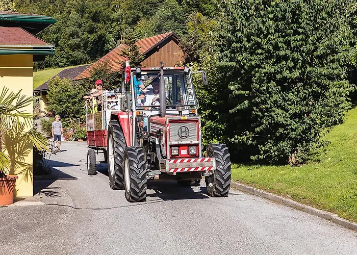 Hotel Hotel Fasching 3*